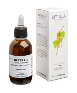 Betulla linfa Gemmoderivati
